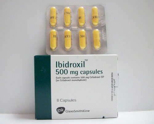 يستعمل المضاد الحيوي ibidroxil لعلاج التهابات الجهاز التنفسي المزعجة