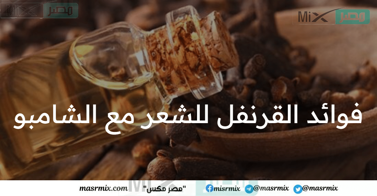 فوائد القرنفل للشعر مع الشامبو وأضراره على الشعر العدسة