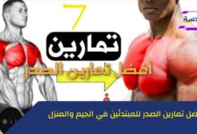 تمارين البنش كاملة بالترتيب